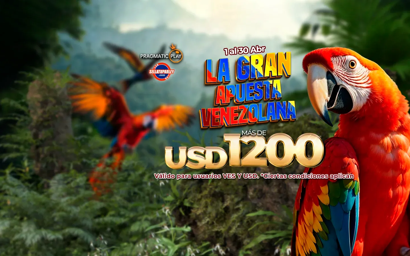 Pragmatic La gran apuesta venezolana LIve