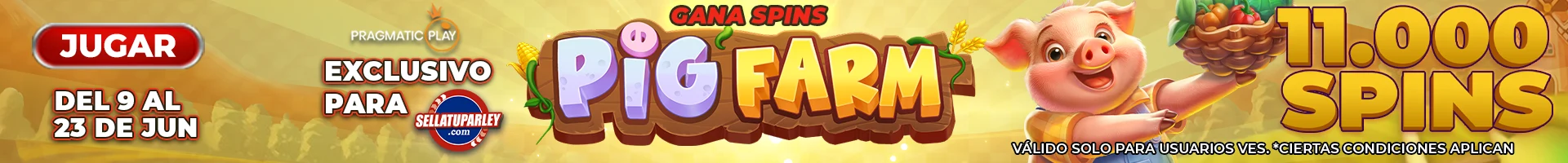 Banner Playson