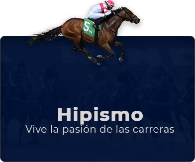 img slot