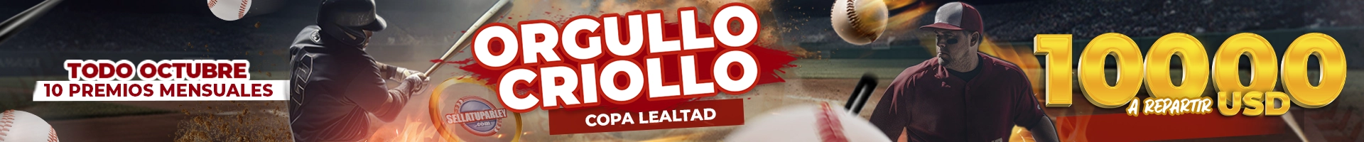 Banner Copa lealtad