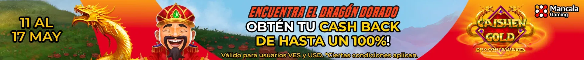 Banner Playson
