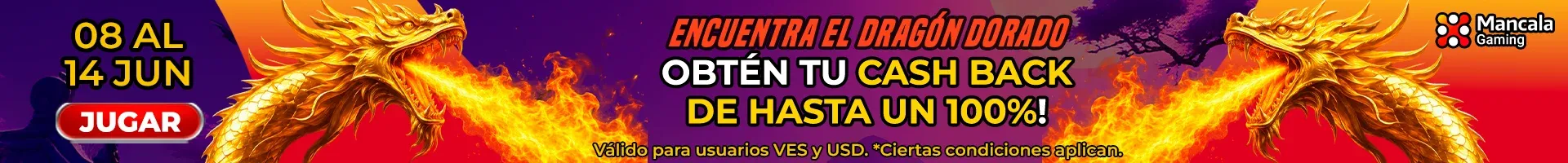 Banner Playson