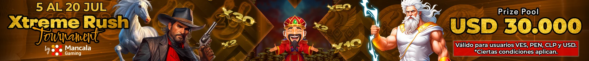 Banner Playson