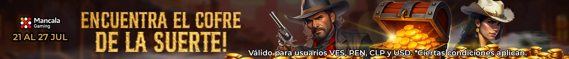 Banner Playson