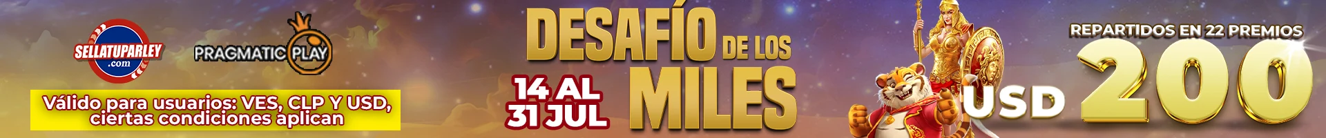 Banner Playson