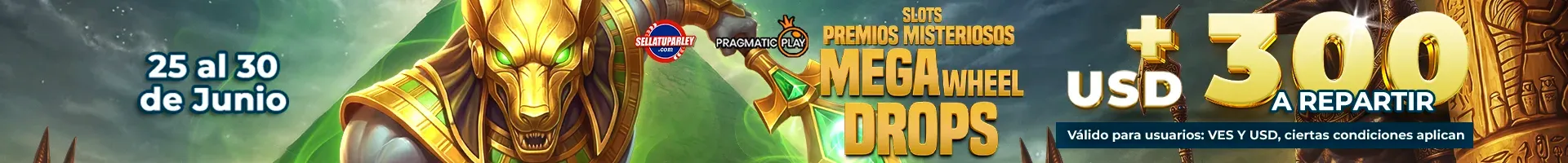 Banner Playson