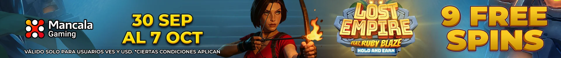 Banner Playson